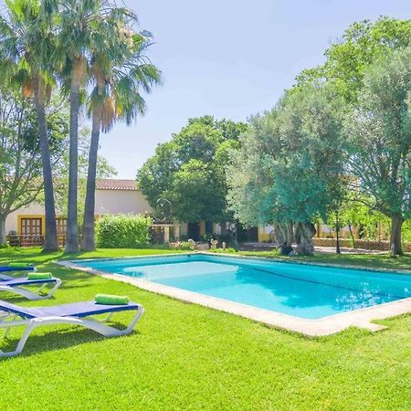 Agroturismo Finca Son Amora Πάλμα ντε Μαγιόρκα Εξωτερικό φωτογραφία