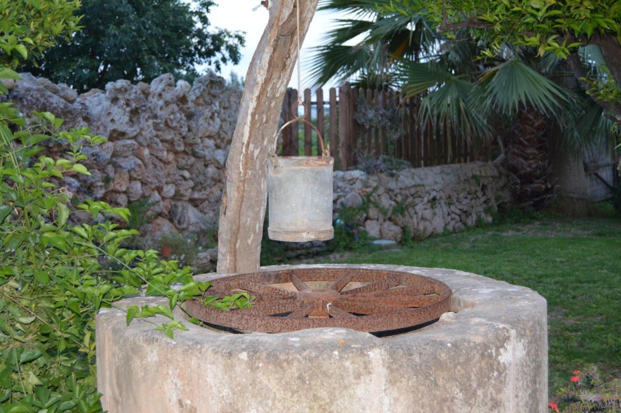 Agroturismo Finca Son Amora Πάλμα ντε Μαγιόρκα Εξωτερικό φωτογραφία