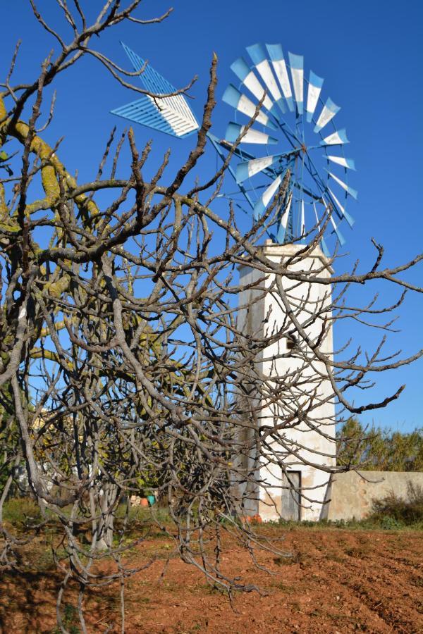 Agroturismo Finca Son Amora Πάλμα ντε Μαγιόρκα Εξωτερικό φωτογραφία