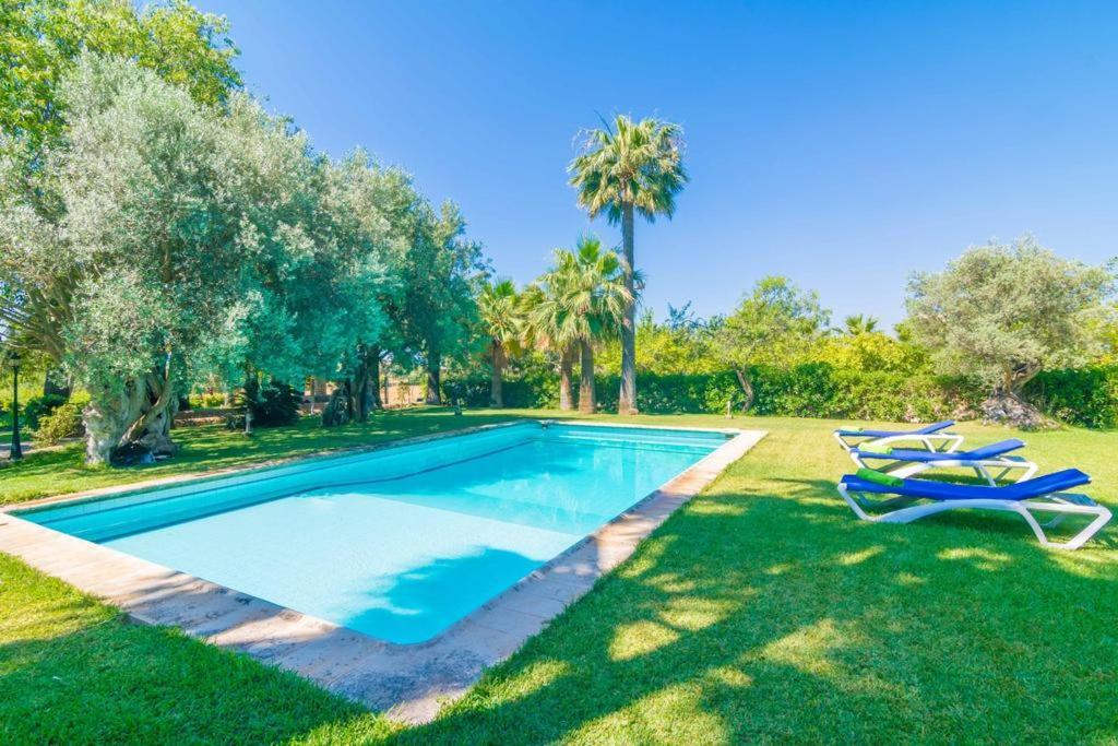 Agroturismo Finca Son Amora Πάλμα ντε Μαγιόρκα Εξωτερικό φωτογραφία