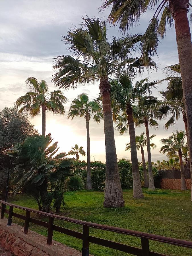Agroturismo Finca Son Amora Πάλμα ντε Μαγιόρκα Εξωτερικό φωτογραφία